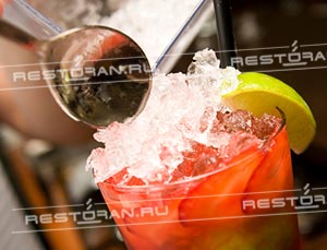 Мастер-класс от бармена: рецепты алкогольных коктейлей - фотография № 9
