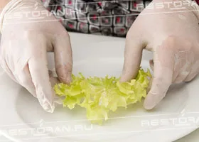 Листья салата